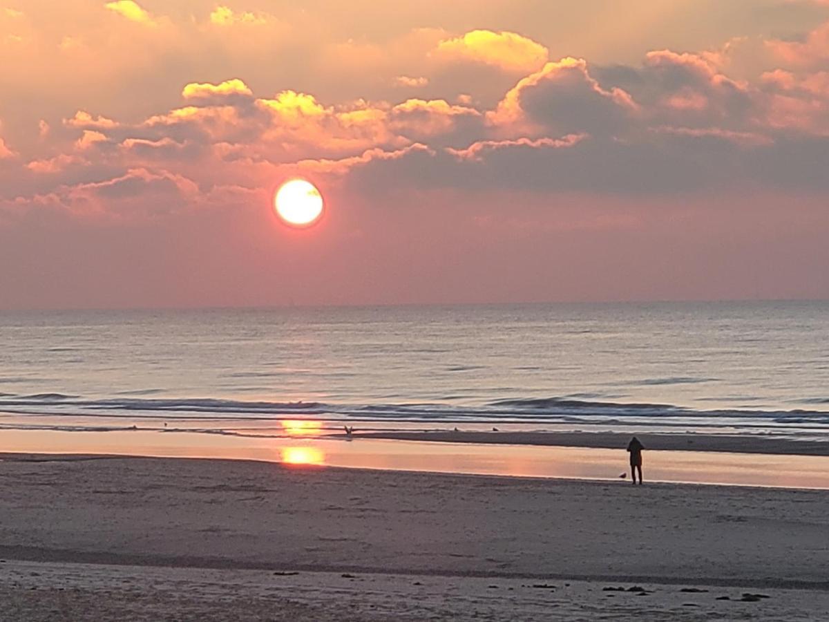 Pension Canberra Bergen aan Zee Zewnętrze zdjęcie